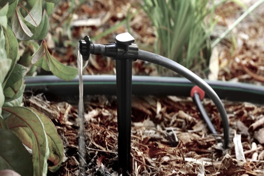 Water Where It's Needed with Drip Irrigation