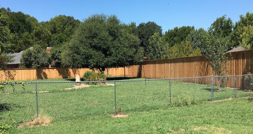 Ranch House Backyard need new landscaping