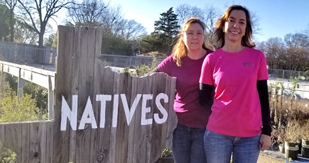 Xeriscaping With Texas Natives Plants