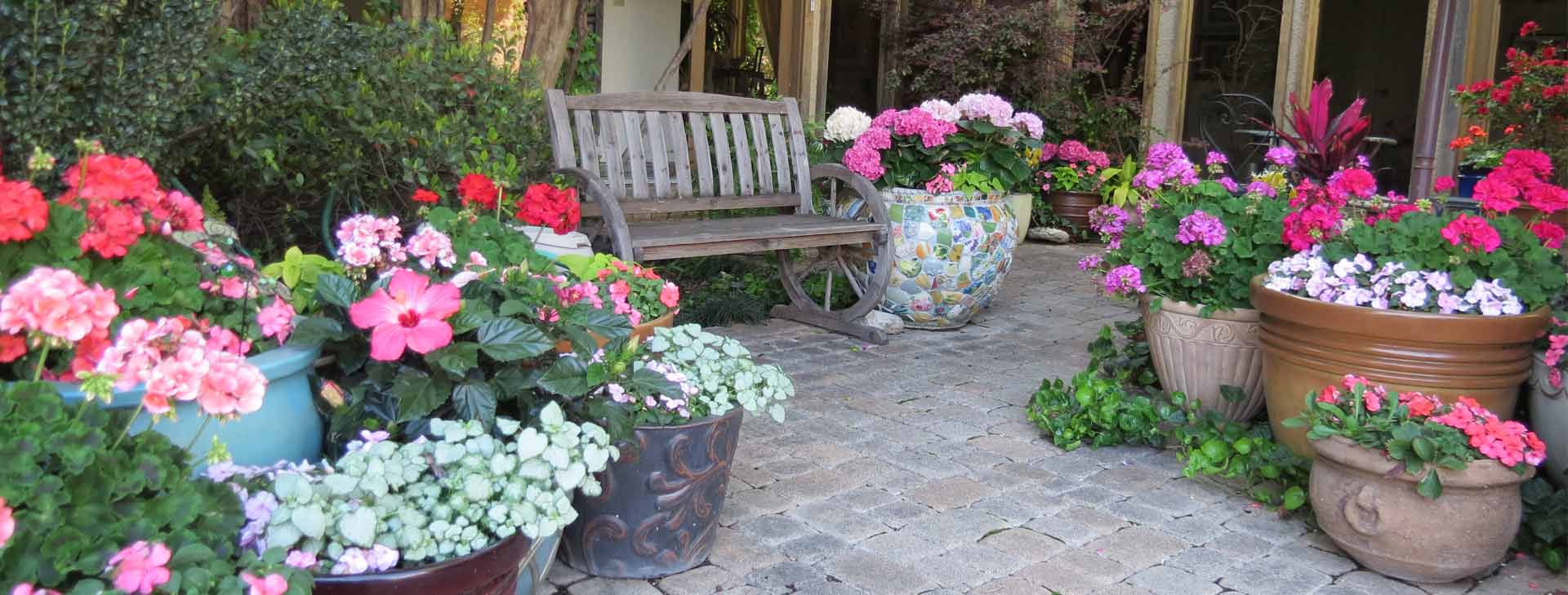 landscape design and installation of Dallas TX