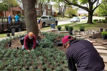 landscape design and installation of Dallas TX