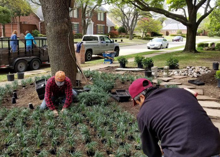 Landscape Design and Installation in Dallas, TX and surrounding areas