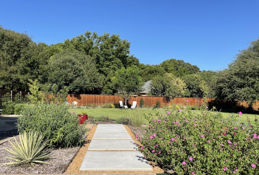 pathway through texas native plants