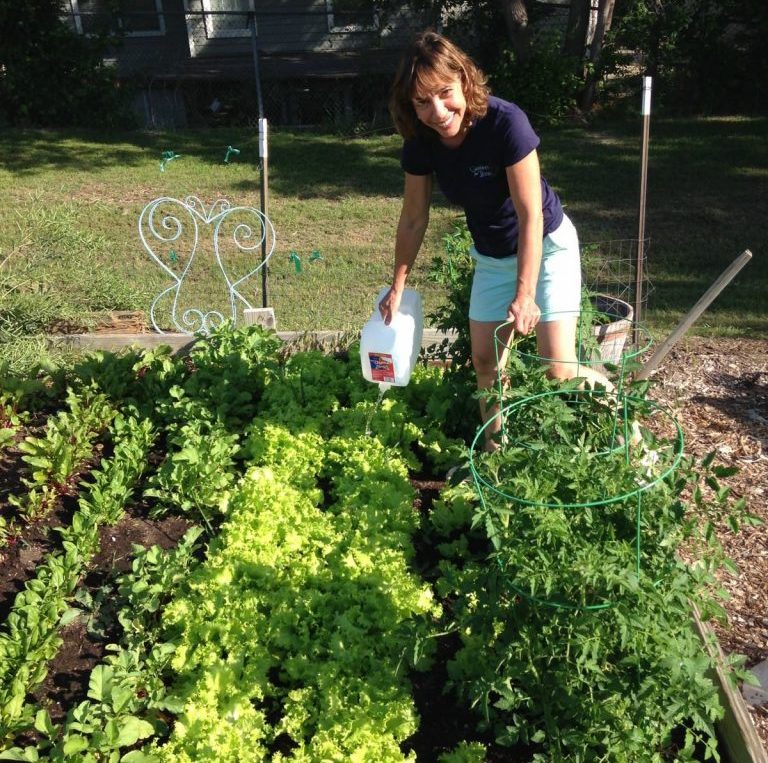 plot community garden landscape design and installation of Dallas TX