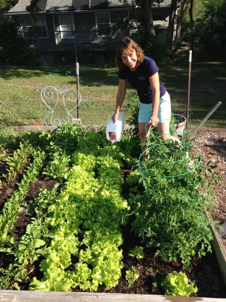 plot community garden landscape design and installation of Dallas TX