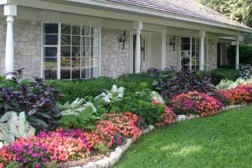 front of house seasonal color landscaping