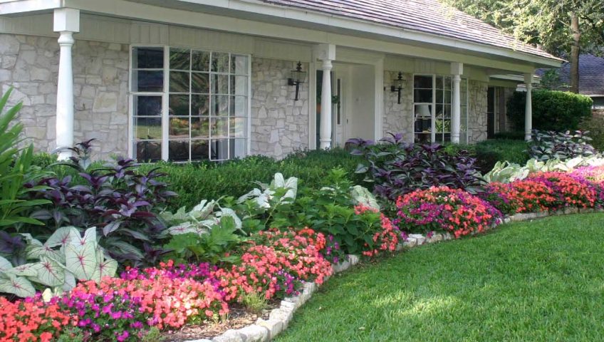 front of house seasonal color landscaping