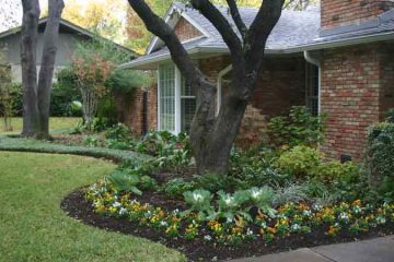 landscape design and installation of Dallas TX