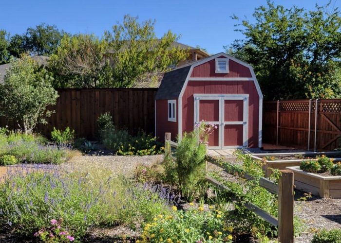 Landscape design and installation in Dallas, Texas