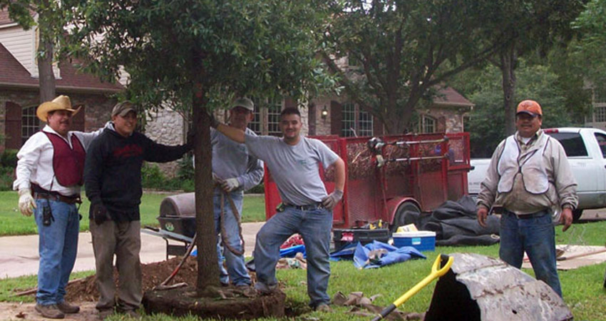 landscape design and installation of Dallas TX