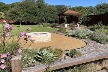 xeriscaped native plants and fire pit