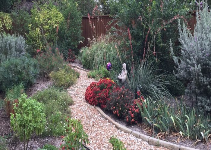 landscape design and installation of Dallas TX