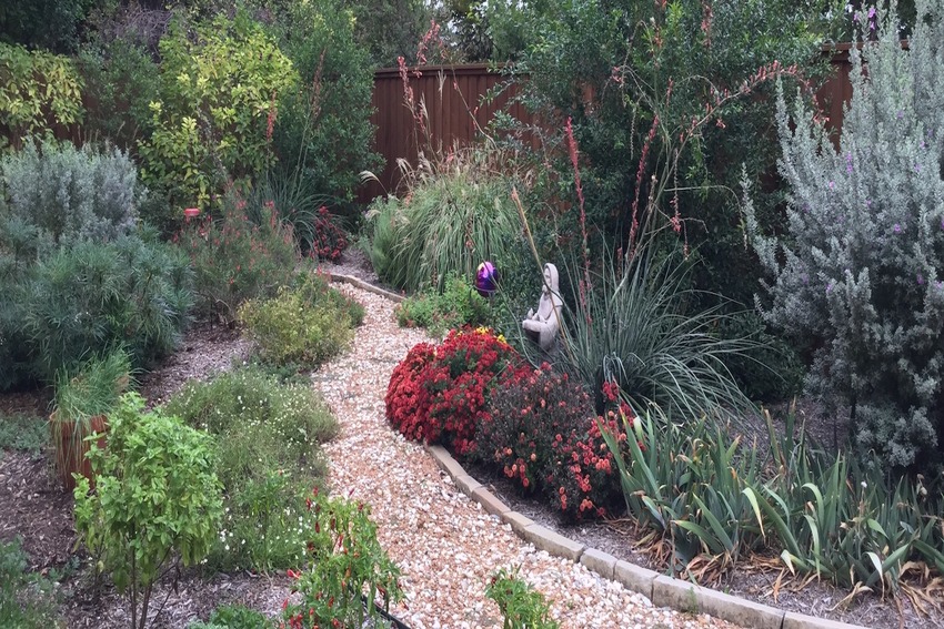 xeriscape path