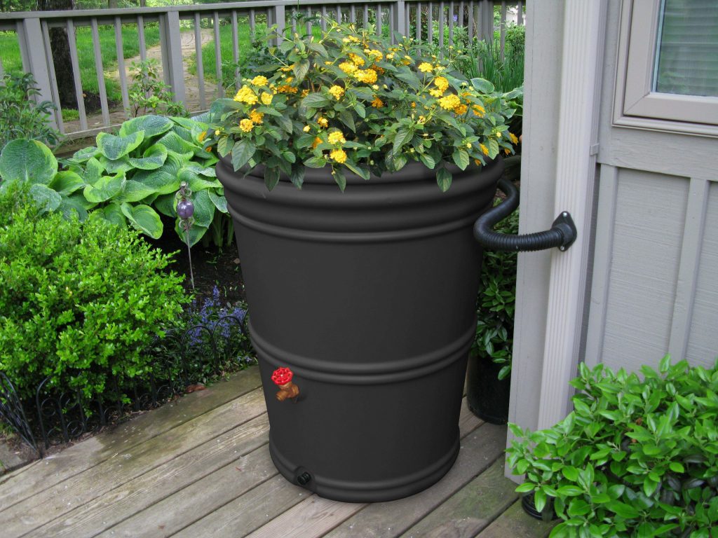 Rainbarrels Capture Water