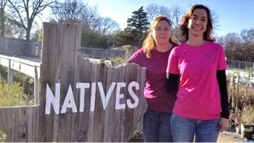 Why Gardens for Texas Loves to Plant Texas Natives