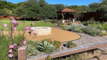 Community Impact | Gardens for Texas Interview