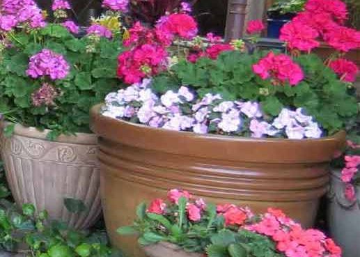 Landscape Design and Installation in Dallas, TX and surrounding areas