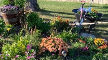 Five Reasons Why Fall is the Best Time to Plant