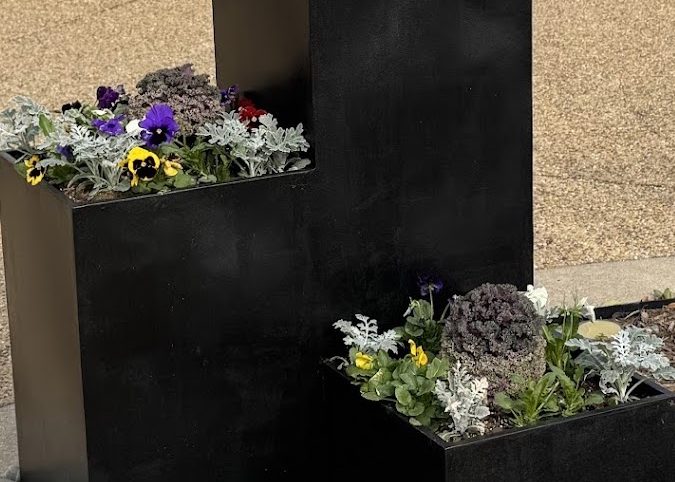 Landscape design and installation in Dallas, Texas