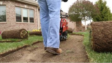 Turf Removal and Water Savings