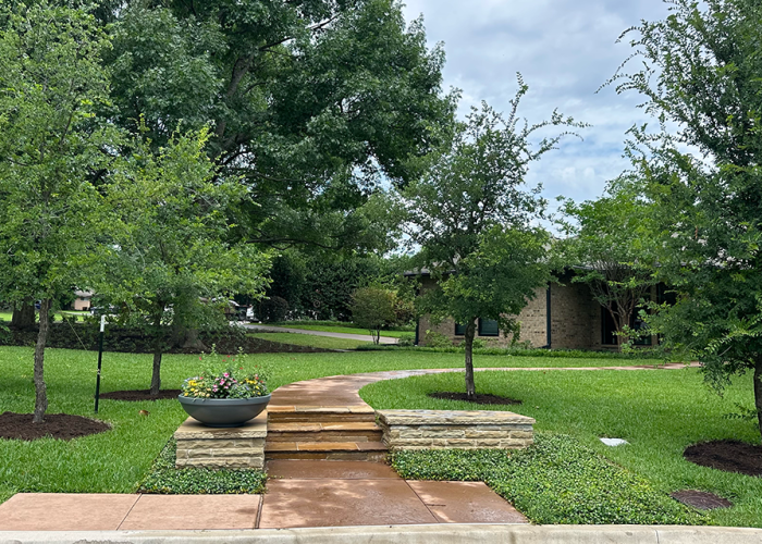 Flagstone steps from road