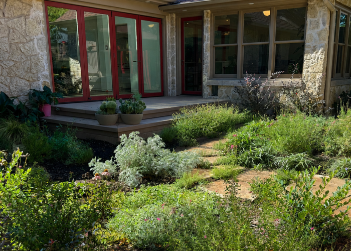 Back stone porch and xeriscape garden