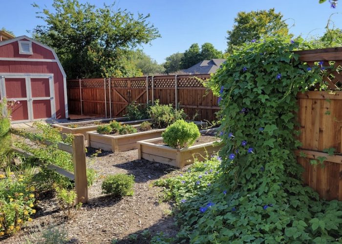 barn shed kitchen garden