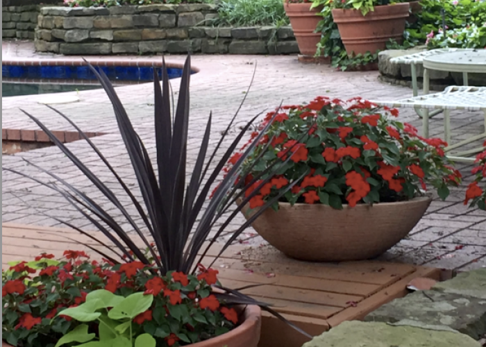 containers around pool