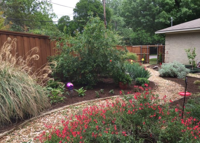 xeriscape garden pathway