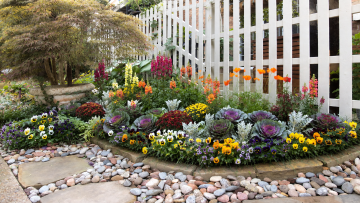 Fall_Planting_Garden_Seasonal-Color